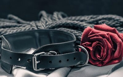 Homepage_HoH 6 “Understanding Sub Drop” and “and How Dominants Can Help Submissives Recover”