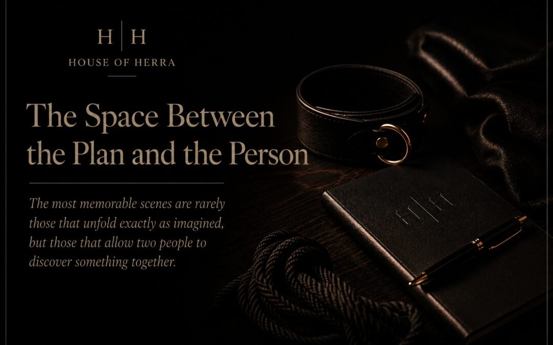The Space Between the Plan and the Person