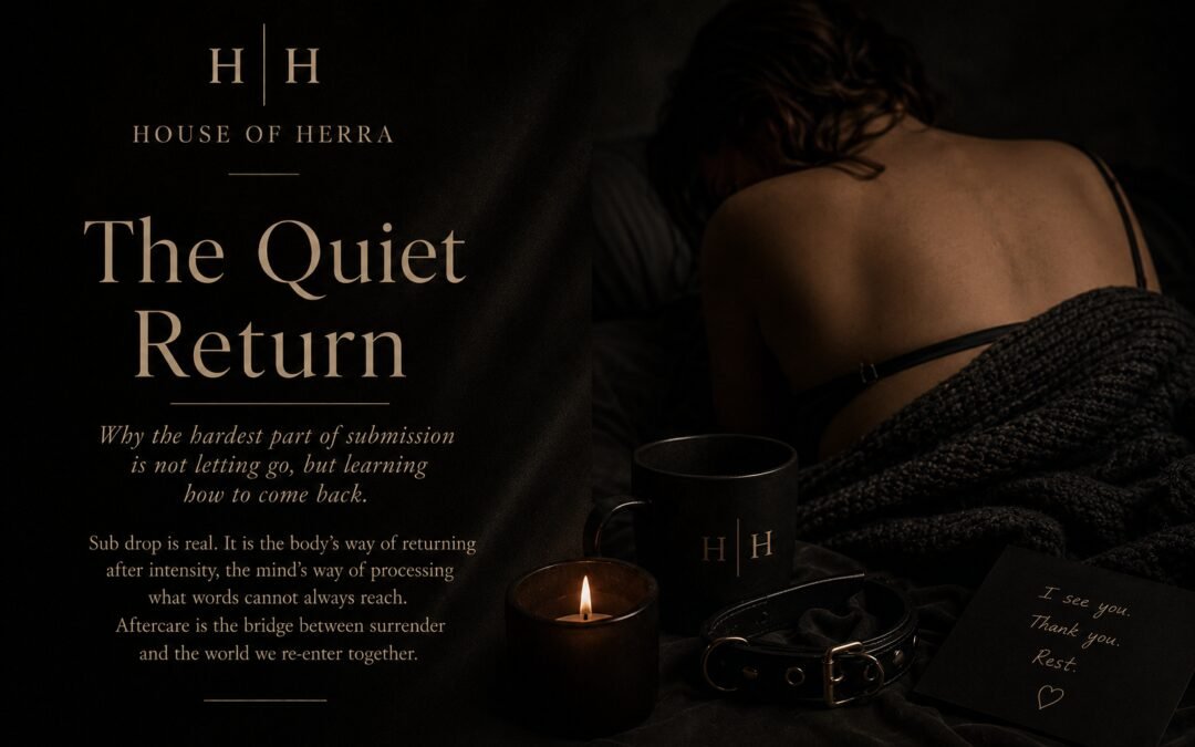 The Quiet Return